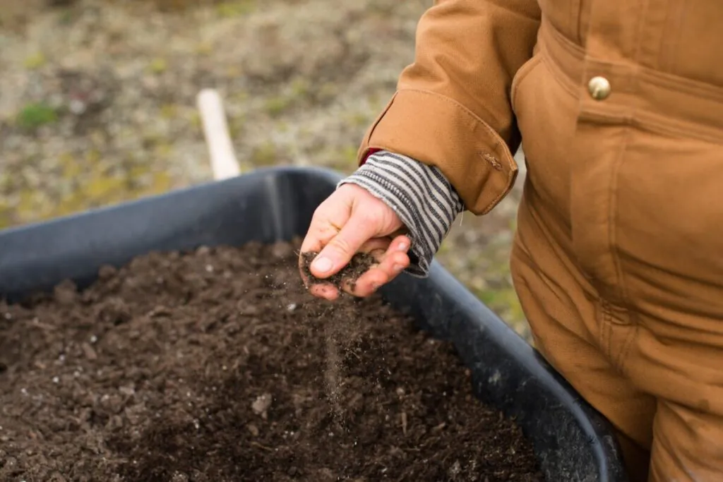 dbanie o glebę to podstawa pielęgnacji roślin