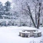 Ogród przykryty śniegiem w zimę